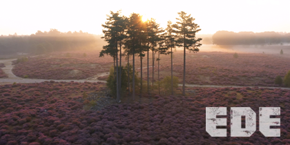 Biodiversiteit in Ede